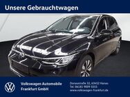 VW Golf, 2.0 TDI VIII Life, Jahr 2023 - Hanau (Brüder-Grimm-Stadt)
