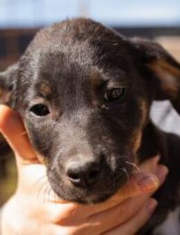 Jonas 💗 fröhlicher+lebensfroher Schatz! - Hamburg