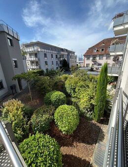 PRIVAT AN PRIVAT! Stilvoll wohnen im Herzen von Heppenheim. Moderne 3-ZKB Wohnung mit 100qm - Heppenheim (Bergstraße)