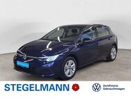 VW Golf, 1.5 TSI VIII Life, Jahr 2024 - Lemgo