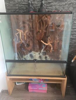 Exo Terra Terrarium/ Paludarium 90x45x90 inkl. Zubehör - Gladbeck