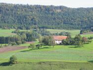 Landlust! Historischer Bauernhof in Alleinlage. Prächtiges Anwesen mit Ausbaupotenzial und herrlicher Fernsicht in malererischer Traumlage von Fützen - Blumberg