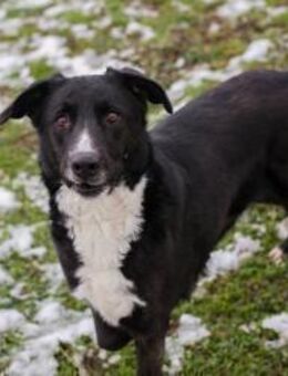 2359190 - lernen und geliebt werden - Overath