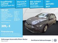 VW Golf, 1.5 TSI VIII Life, Jahr 2024 - Mannheim