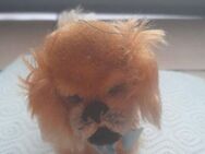 Kleiner alter Steiff Hund Pekingese - Markdorf