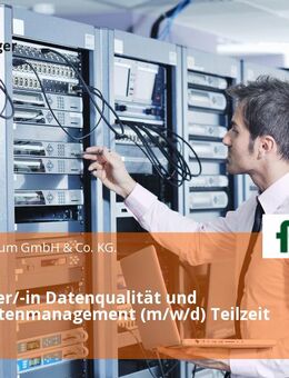 Mitarbeiter/-in Datenqualität und Stammdatenmanagement (m/w/d) Teilzeit - Marburg