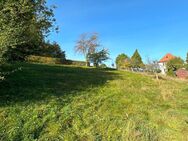 Sonniger Baugrund mit unverbaubarem Fernblick in einer der schönsten Lagen von Schmalkalden - Schmalkalden