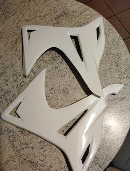 Tankverkleidung weiß,Kreidler 125 DD und baugleiche - Oranienburg