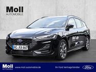 Ford Focus, 1.0 l ST-Line Design 125PS Auto Winter Sicherheits Pkt Scheinwerferreg, Jahr 2023 - Aachen