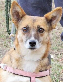 Alva - Rotenburg (Fulda)