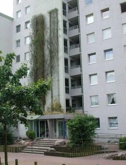 Komplett renovierte Single-Wohnung - Kiel