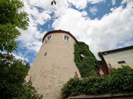 SELTENHEIT: Ensemble von 2 denkmalgeschützen MFH (10 Einheiten) an der Stadtmauer von Stadtsteinach! - Stadtsteinach