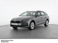 Skoda Octavia, 2.0 TDI COMBI SELECTION 110KW Selection, Jahr 2024 - Essen