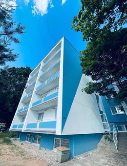 1 Zimmer Appartement in Erlenbach - Erlenbach (Main)