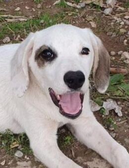 Finn - unser kleiner Pirat - Schorfheide