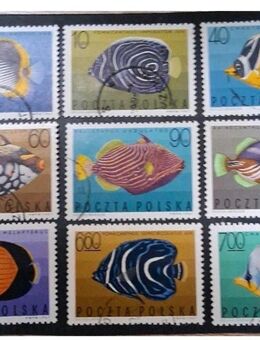 Briefmarken Polen 1967 Tropische Fische Satz komplett gestempelt - Görlitz