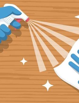 Need Cleaning expert - Berlin Steglitz-Zehlendorf