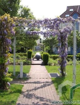 ** Werder an der Havel * Erdgeschosswohnung mit Terrasse ** - Werder (Havel)