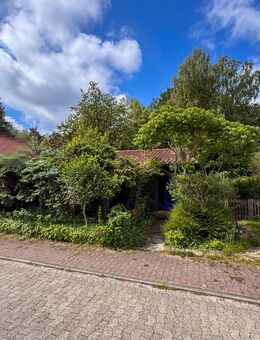 Sanierungsobjekt mit Herz: Bungalow mit 2 SZ sowie einem Garten, Wintergarten & Carport in Düshorn - Walsrode
