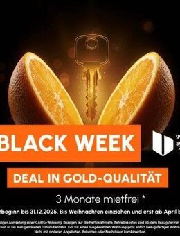 Einbauküche / Schickes Bad - Chemnitz