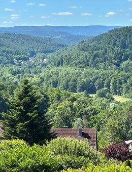 LAGE, LAGE, LAGE - DHH auf schönem Grundstück mit TraumBLICK ins Albtal in Busenbach - Waldbronn