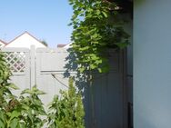 Ahorn zu verkaufen - Fürth