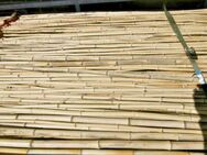 5x Bambusrohr Bambusstäbe 1,8-6m lang 1,5-3,5cm dick in Süddeutschland gewachsen - Radolfzell (Bodensee) Zentrum
