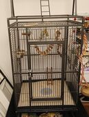 Großer Vogelkäfig Voliere mit viel Zubehör in 86391