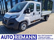 Fiat Ducato, 35 Doka L4 KOMFORT, Jahr 2024 - Cloppenburg