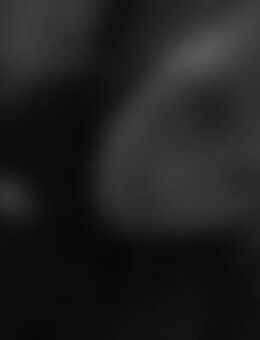 Lar*** - Neustrelitz