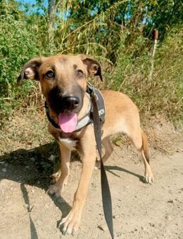 💙 𝐋𝐄𝐕𝐈 - Markkleeberg