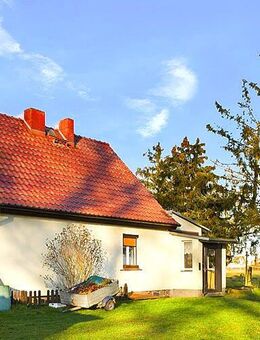 Einfamilienhaus mit viel Land in ruhiger Lage - Gnevkow