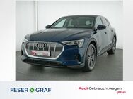 Audi e-tron, 50 quattro Lu, Jahr 2021 - Nürnberg