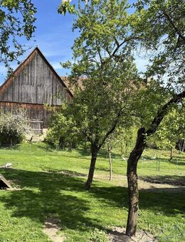 Charmantes Bauernhaus im Dornröschenschlaf mit großem Garten in Dachsbach - Dachsbach