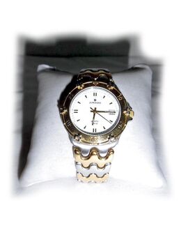 Armbanduhr Junghans WR 100 - Nürnberg