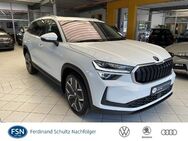 Skoda Kodiaq, 2.0 TDI Selection, Jahr 2024 - Demmin