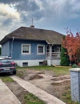 Bungalow mit Keller und schöner Terrasse - Herzberg (Elster)