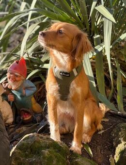 Ich heiße Maja ... mit Video - Frankfurt (Main)