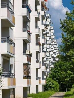 Schöne 3 Zimmer Wohnung, Anmietung ab 08/25 ! - Dresden