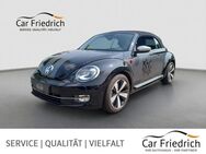 VW Beetle Cabriolet 1.2 TSI DSG Cup Bi-Xenon/Navi - Steinfurt