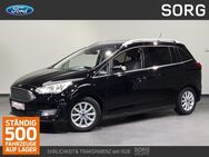 Ford Grand C-Max, 1.0 EcoBoost Titanium, Jahr 2019 - Fulda