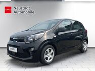 Kia Picanto 1,2 Edition Drive Klima Sitzheizung DAB - Riesa