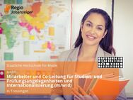 Mitarbeiter und Co-Leitung für Studien- und Prüfungsangelegenheiten und Internationalisierung (m/w/d) - Trossingen