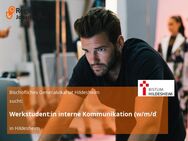 Werkstudent:in interne Kommunikation (w/m/d) - Hildesheim