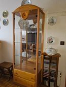 Glas/Sammlervitrine in 45329