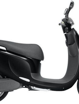 SAXXX E-Motorroller Ecooter E1S, 3000 W, 45 km/h