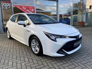 Toyota Corolla, 1.8 Hybrid 5-tg Comfort Spurhalteass, Jahr 2021 - Steinfurt