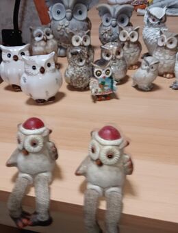 sehr große Eulensammlung - Dortmund