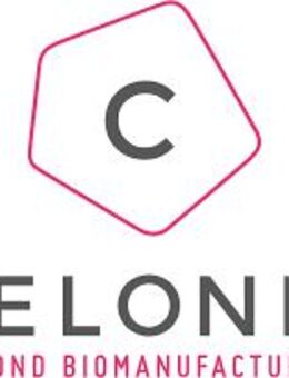 IT Service Desk Mitarbeiter (w/m/d) - Heidelberg