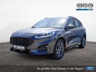 Ford Kuga 2.0 EcoBlue Hybrid ST-Line ACC HUD LED - Halle (Saale)